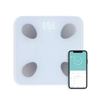 Pèse-personne Connecté LIVOO DOM428
