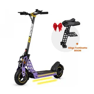 Trottinette Électrique Ecoxtrem Bison GT Blanc