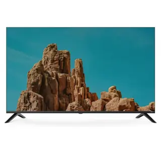 Wansa 4K UHD 55 -inch Smart Google TV, WLE55NGT63 - Black